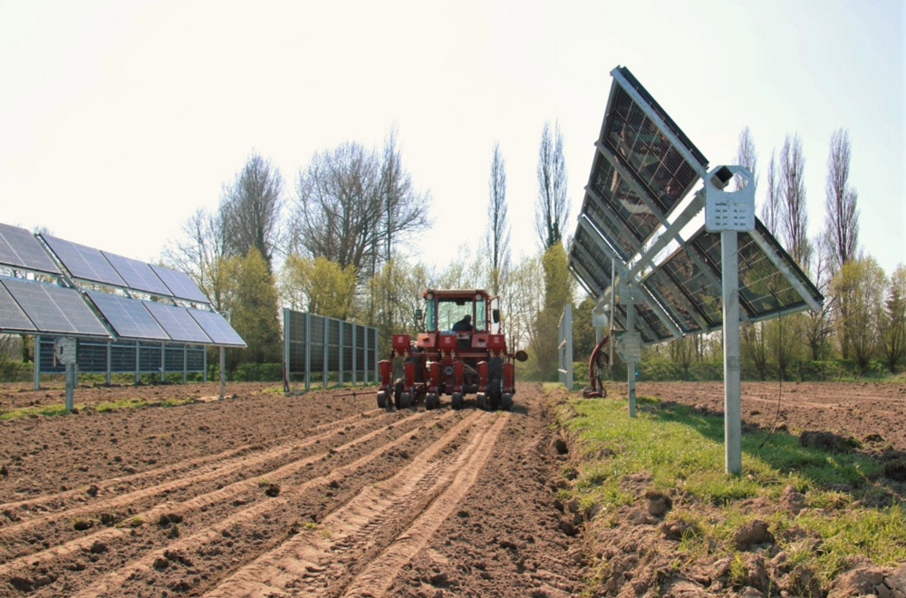 agriculteur cultivant sous panneau photovoltaïque