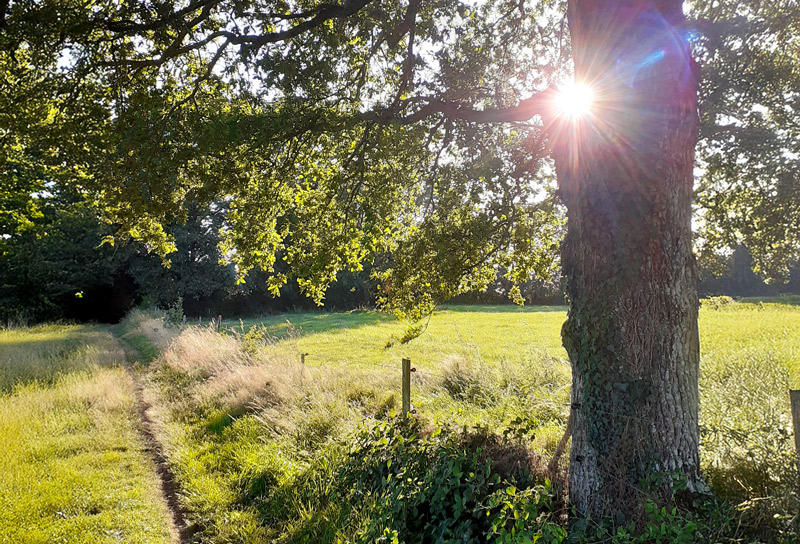 vitoire collectif louverné